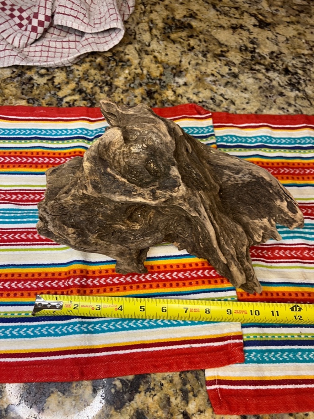 Natural Driftwood Aquarium Decoration - Brown found on James River